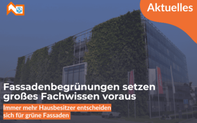 Fassadenbegrünungen setzen großes Fachwissen voraus