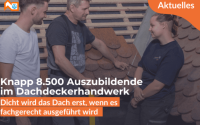 Knapp 8500 Auszubildende im Dachdeckerhandwerk